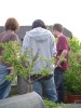 DSCN0126.jpg